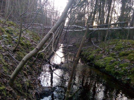 Harku Forest Nature Trail