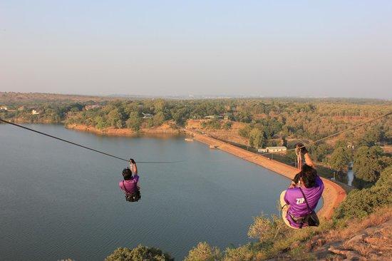 Flyingfox