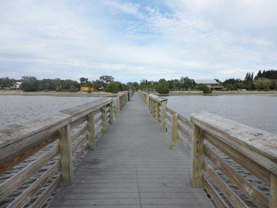 Bayshore Live Oak Park