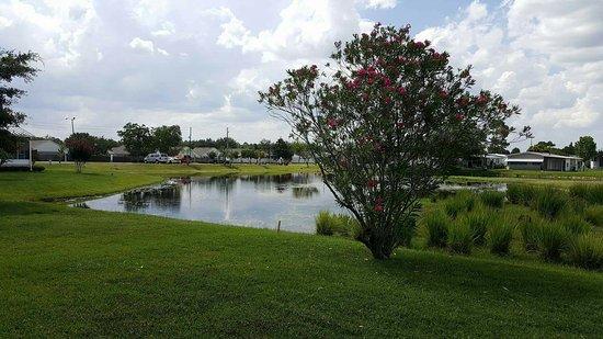 Fairways Country Club