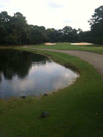 Litchfield Country Club