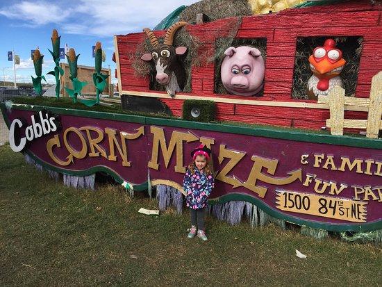 Cobb's Adventure Park