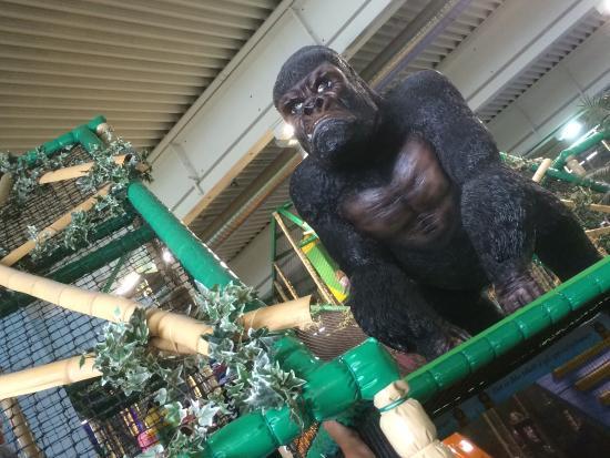 Leo's Lekeland