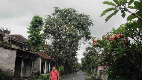 Wisata Burung Kokokan