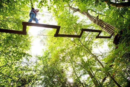 Go Ape Treetop Adventure Course