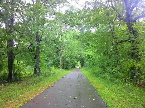 Ridgeland Bike Trail