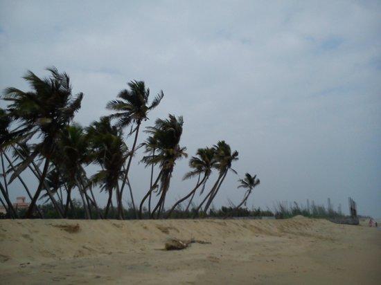 Paradise Beach