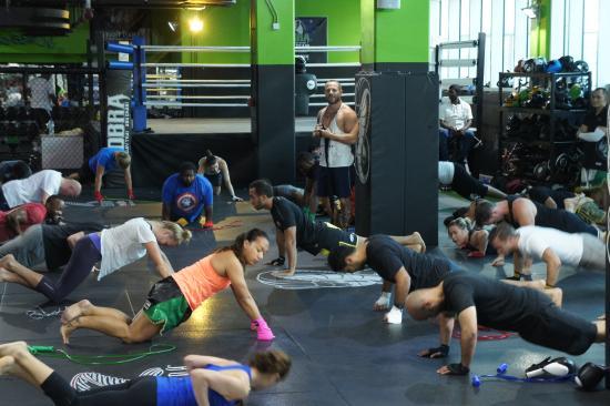 Cobra Fitness Abu Dhabi