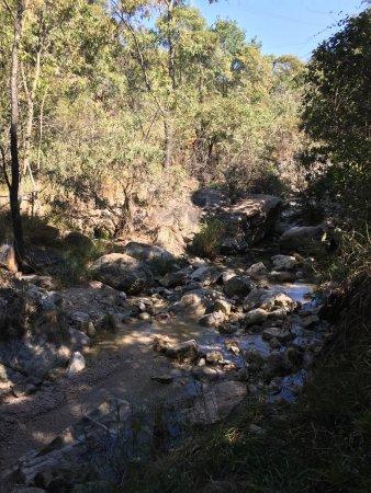 Magaliesberg Canopy Tour