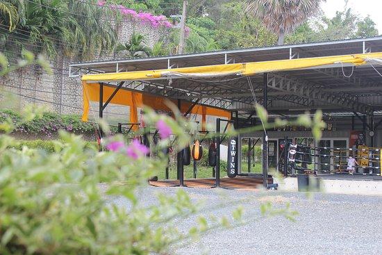 Sutai Muay Thai Phuket