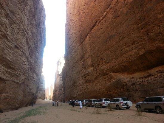 Amazing Tours