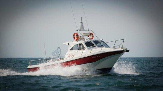 Wild Frontier Charters