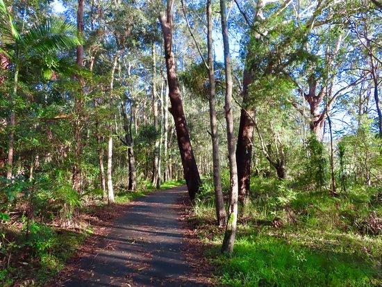 Coffs Creek Walk and Cycleway