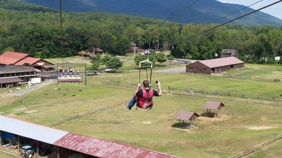 Eagle Flyer