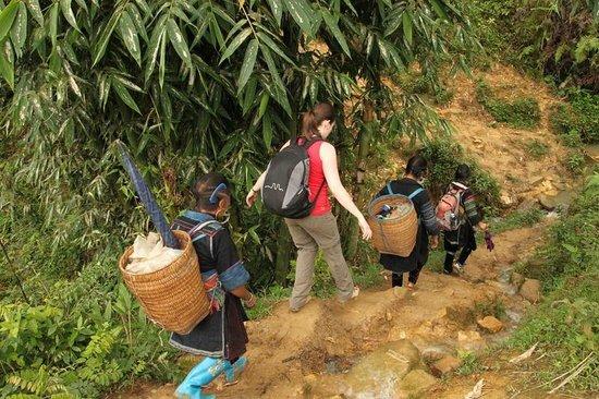 Vietnam Typical Tours - Day Tours