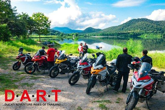DART Asia