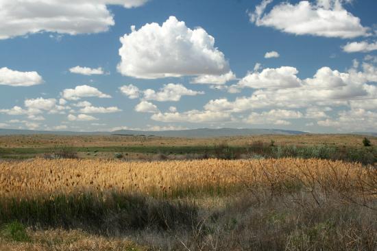 Wahluke Slope