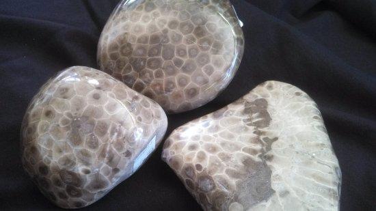 Swan's Nest Gifts