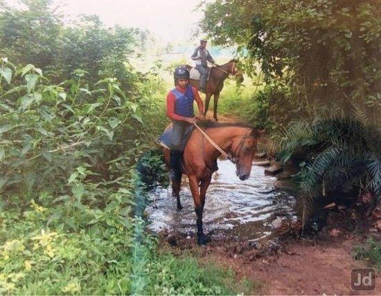 Modern Horse Riding School