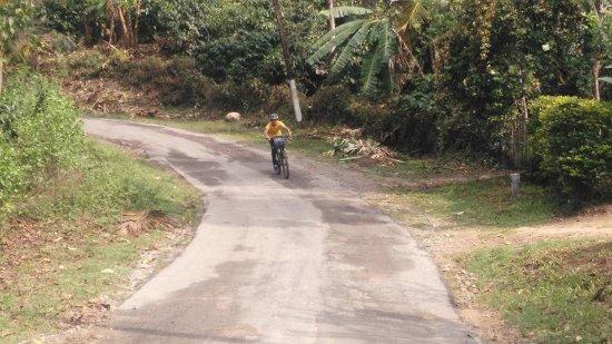 Pedal with Poonch