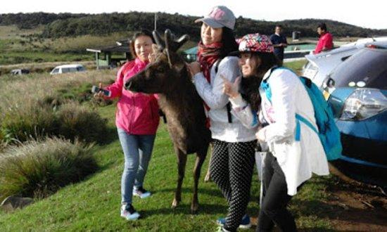 Good Friends Tours