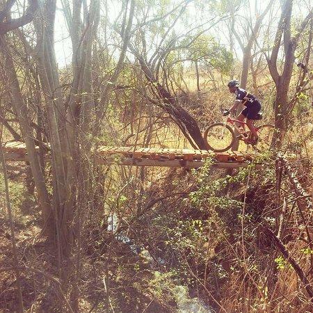 Buffelsdrift MTB Park