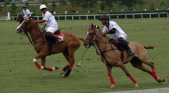 Polo Lessons in KL