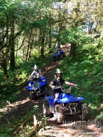 Mullacott Quads