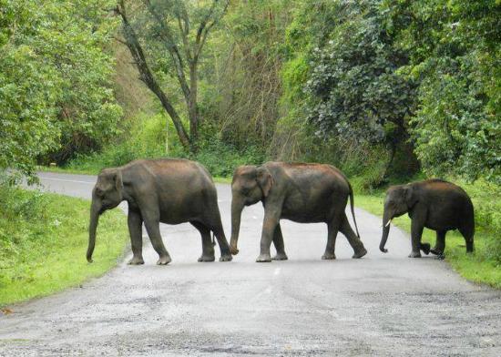 Wild Delta - Day Tours