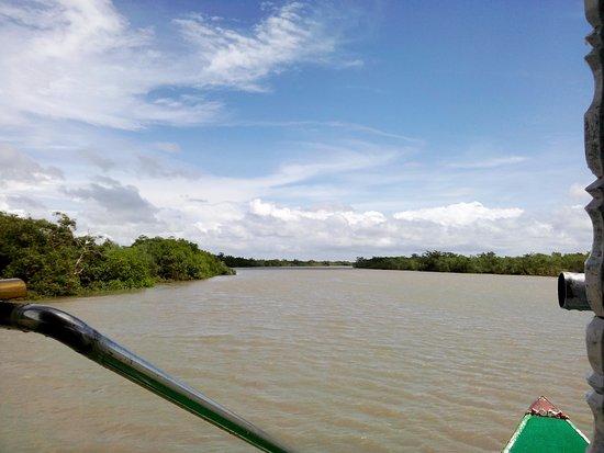Trip to Sundarbans