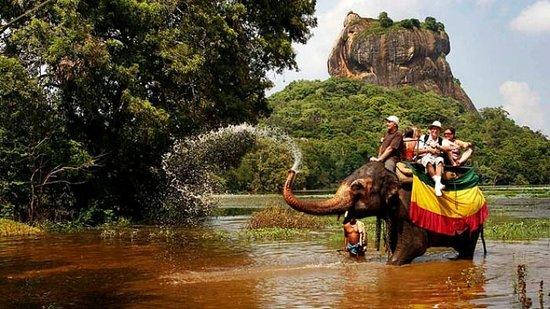 Go Sri Lanka Tours