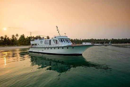 Sawfish Luxury Cruise