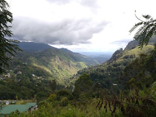 Ceylon Green Tours