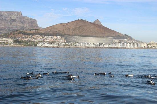 Two Oceans Adventures