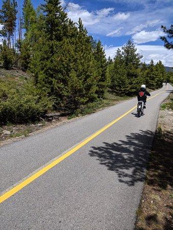 Pedego Electric Bikes Frisco