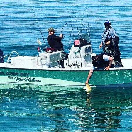 Bay Sound Fishing Guide Service