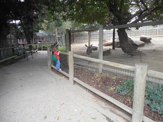 Applegate Park Zoo