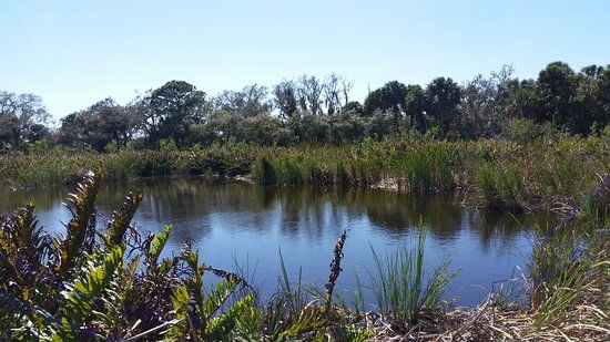 Caloosahatchee Creeks Preserve