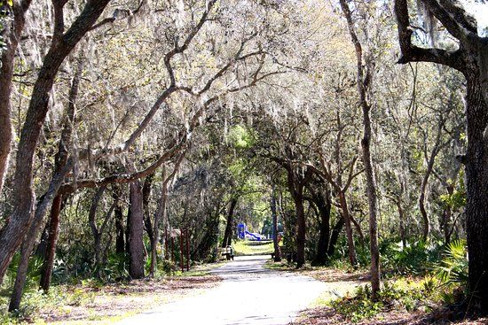 Lake Okahumpka Park
