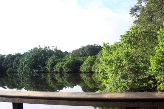 Frenchman's Forest Natural Area