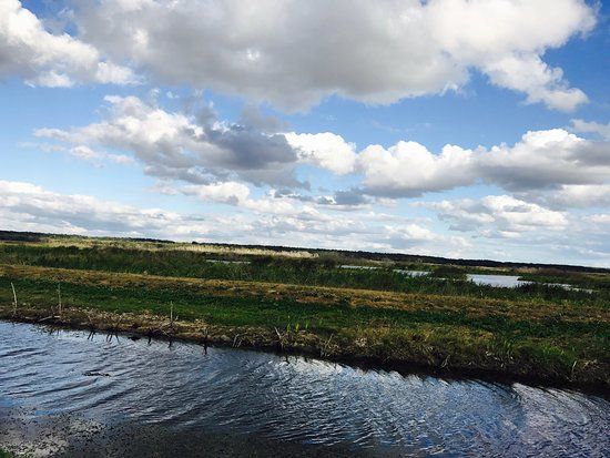 Lake Apopka Wildlife Trail