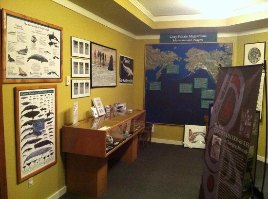 Langley Whale Center