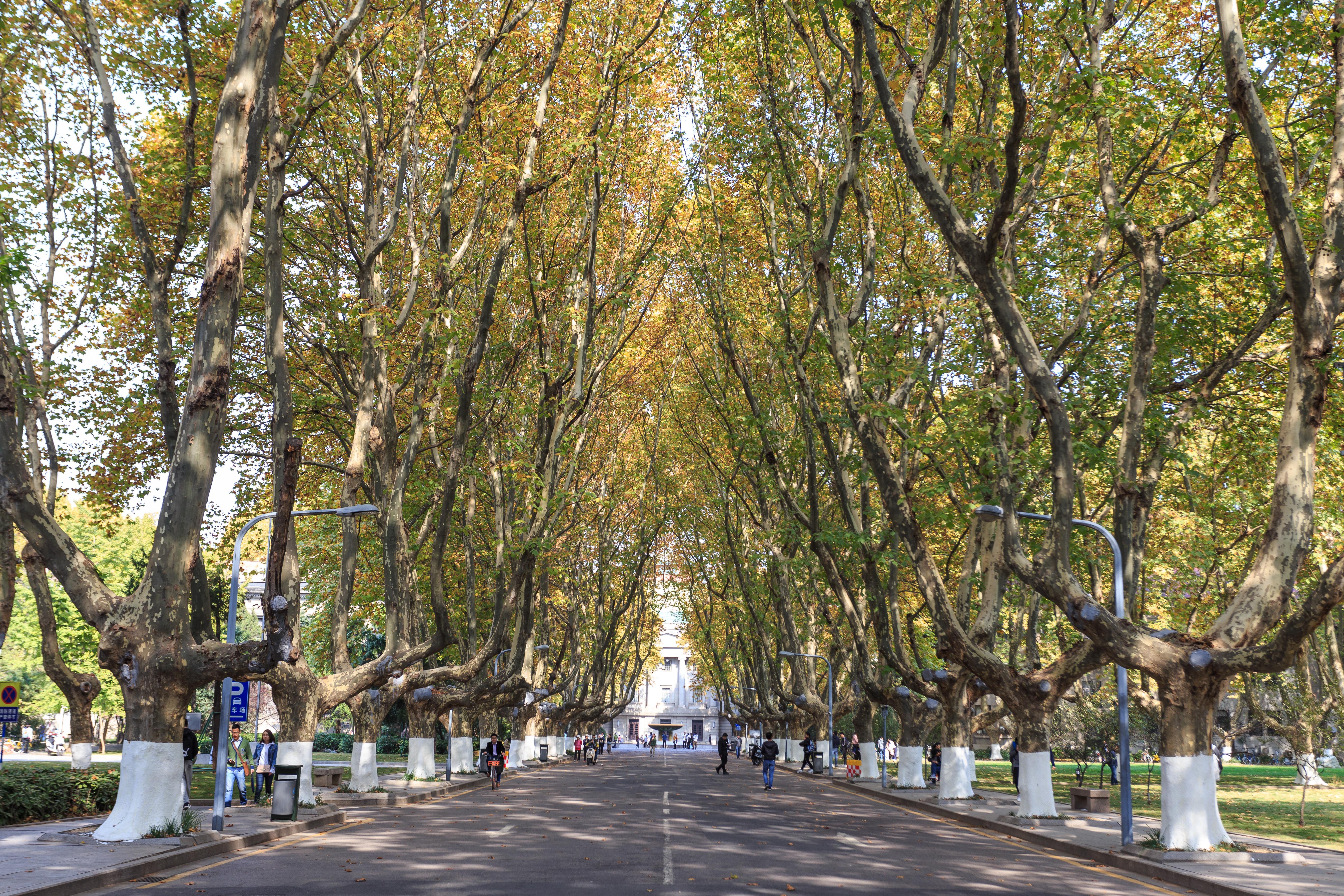 Southeast University Jiulonghu Campus