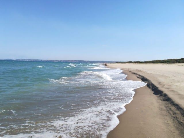 Nature Reserve Oasis Simeto