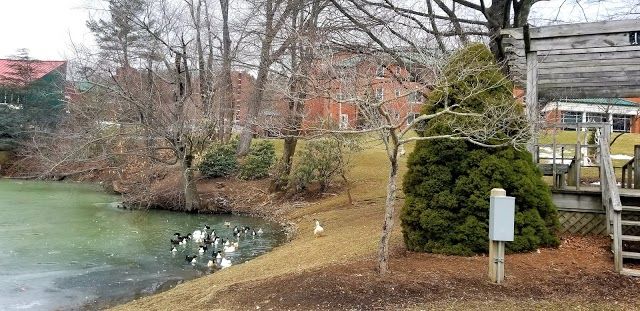 Appalachian State University