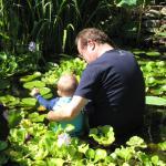 Ostioneria Michoacan No Ten