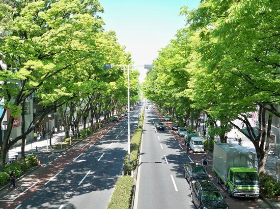 Omotesando