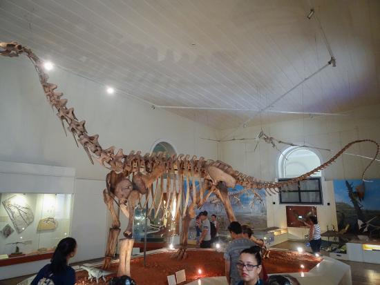 National Museum of Brazil