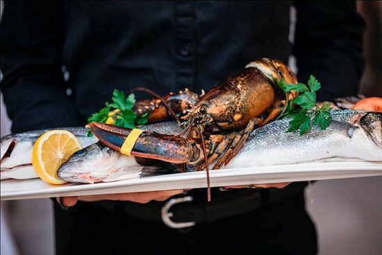 Dalmatino