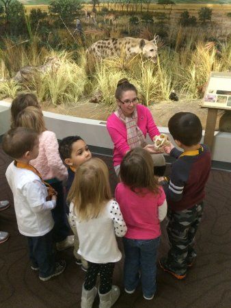 Schisler Museum of Wildlife & Natural History and McMunn Planetarium
